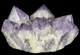 Amethyst Cluster ( lbs) - Massive Points #65149-2